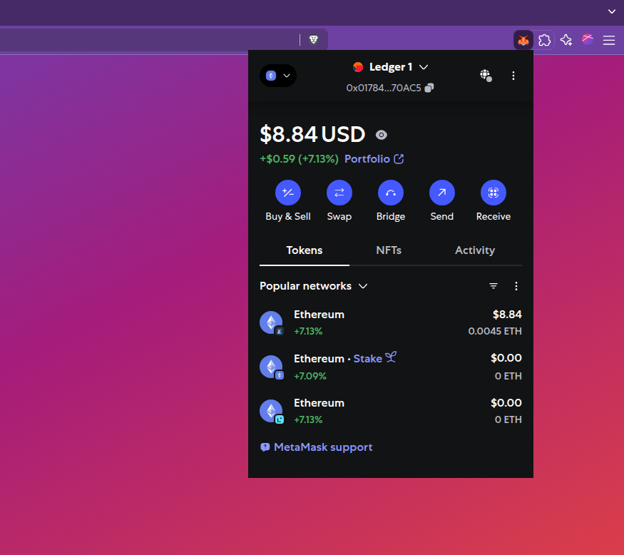 Step 4: Ledger wallet successfully connected and visible in MetaMask with balance and activity.