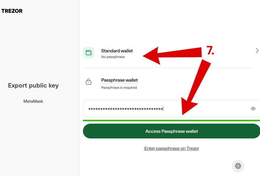 Select standard or passphrase-protected Trezor wallet to access via MetaMask